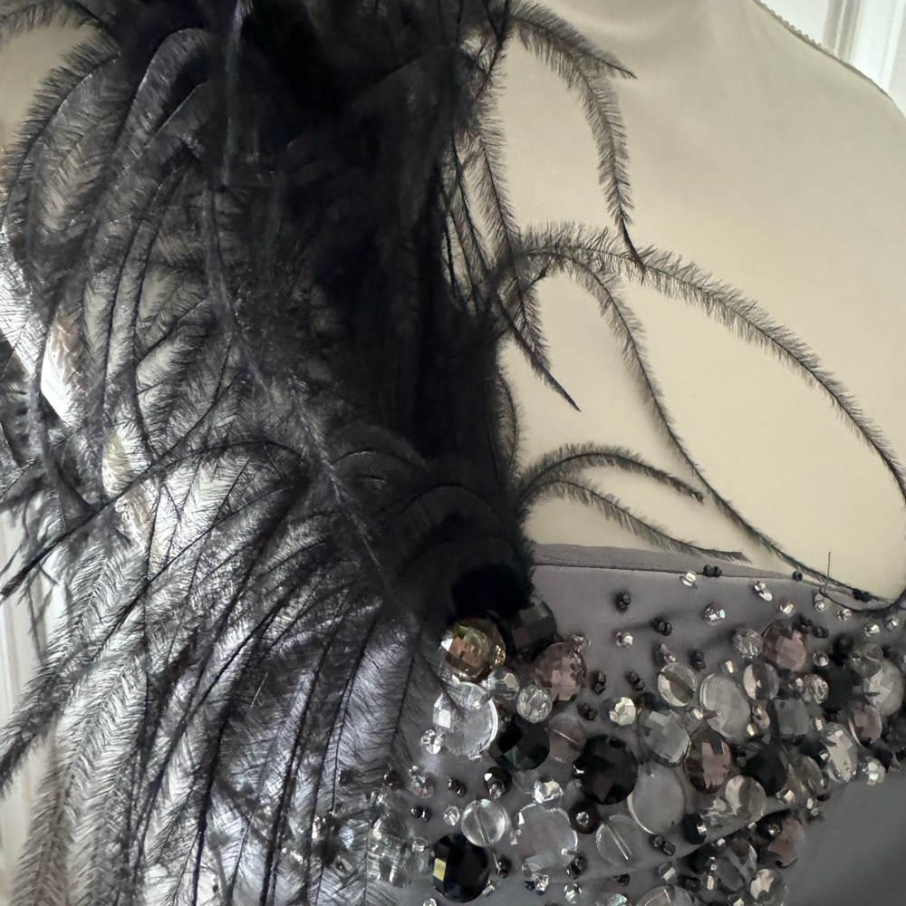 Never Worn!! Beautiful prom gown with stunning beading and feather shoulder - Picture 3 of 6